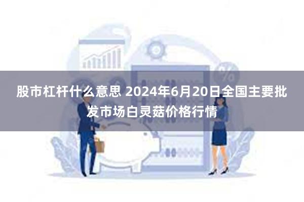 股市杠杆什么意思 2024年6月20日全国主要批发市场白灵菇价格行情