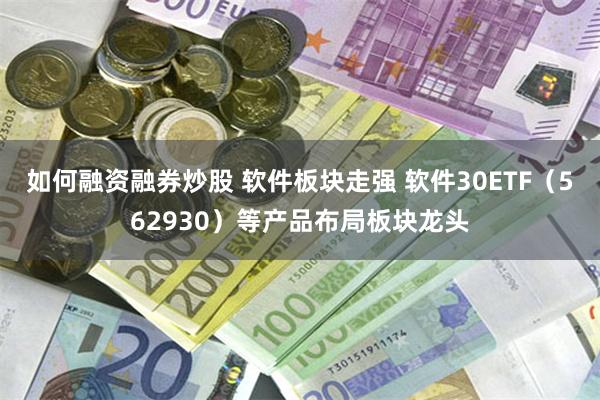 如何融资融券炒股 软件板块走强 软件30ETF（562930）等产品布局板块龙头