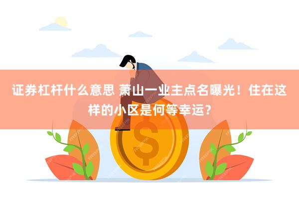 证券杠杆什么意思 萧山一业主点名曝光！住在这样的小区是何等幸运？