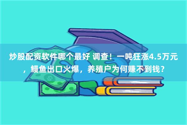 炒股配资软件哪个最好 调查！一吨狂涨4.5万元，鳗鱼出口火爆，养殖户为何赚不到钱？