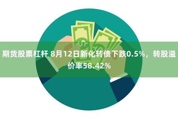 期货股票杠杆 8月12日新化转债下跌0.5%，转股溢价率58.42%