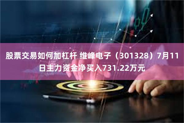 股票交易如何加杠杆 维峰电子（301328）7月11日主力资金净买入731.22万元