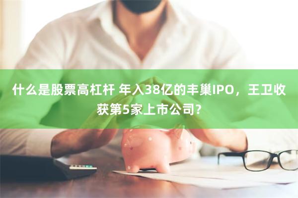 什么是股票高杠杆 年入38亿的丰巢IPO，王卫收获第5家上市公司？