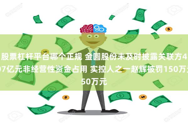 股票杠杆平台哪个正规 金圆股份未及时披露关联方4.07亿元非经营性资金占用 实控人之一赵辉被罚150万元